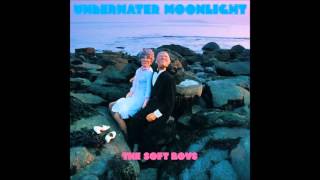 The Soft Boys - Old Pervert