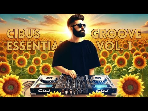 CIBUS GROOVE ESSENTIALS vol. 1 - 4 DECKS SET