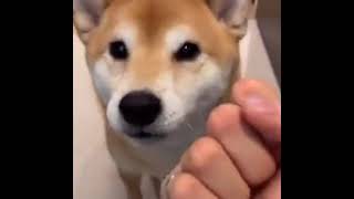 i hear you're hungry... FOR A KNUCKLE SANDWICH