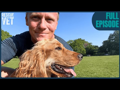 Mango's finally fully grown! Taking my best friend for his first haircut | Rescue Vet with Dr Scott