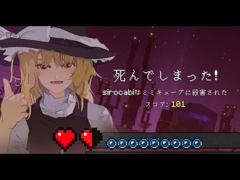  SOS: 苗にカビが発生しました!彼らを救えるでしょうか？やり方は？  庭園