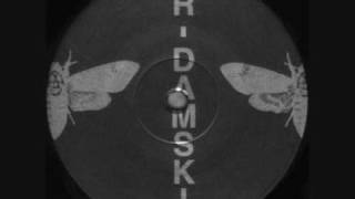 R-Damski - Acoustic Nature (Sub-Stance Cut)