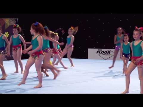 The Floor 2017 : Display Team - Carriagaline