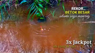 Download lagu REKOR.. MANCING IKAN BETOK/PAPUYU TERBESAR SELAMA SAYA MANCING MAS BRO mp3 Download lagu REKOR.. MANCING IKAN BETOK/PAPUYU TERBESAR SELAMA SAYA MANCING MAS BRO mp3