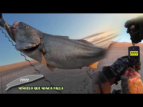 Pesca desde costa en Mejillones, Región de Antofagasta, Chile (Final épico)