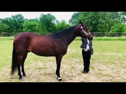 Mac Goodie and Eden Sands