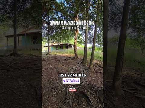CHÁCARA COM 4,8 ALQUEIRES 23,61 EM CEZARINA, COM ACESSO AO RIO DOS BOIS #chacaraavenda #agro