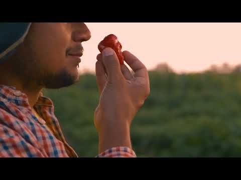 Labor Shortage Amidst 2.1% Unemployment Rate