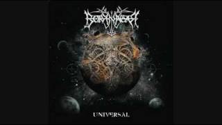 &quot;HAVOC&quot;- BORKNAGAR UNIVERSAL