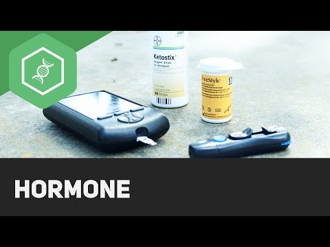 Hormone — Einführung