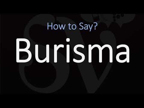 How to Pronounce Burisma? (CORRECTLY)