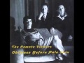 The Remote Viewers - Wild Is The Wind