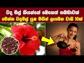 වද මල් යුෂ මගින් ලැබෙන සෞඛ්‍ය ප්‍රතිල�
