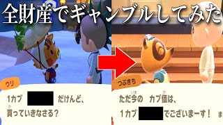 誕生日に全財産(島含む)使って一世一代のギャンブルしてみた【あつまれどうぶつの森】