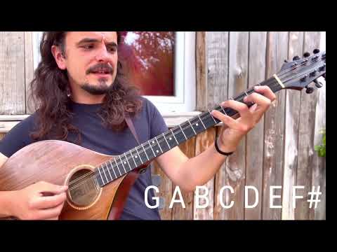 Irish Bouzouki Lesson - Chords and Arpeggios (and crickets) Part 1