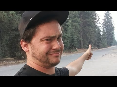 Live In Weed California