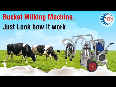 BS 3 X Portable Milking Machine