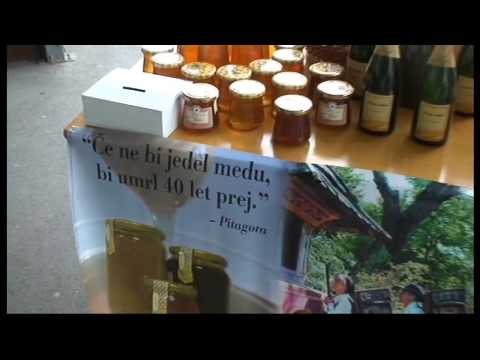 Dan odprtih vrat Čebelarskega društva Ljutomer