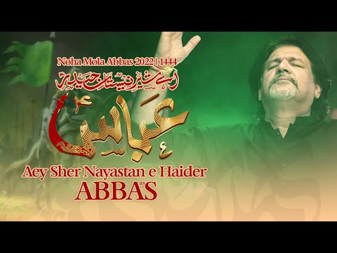 Aey Sher e Nayastan e Haider Abbas | Dr Amir Rizvi Nohay 2022 | SYED ALI MUHAMMAD RIZVI SACHAY