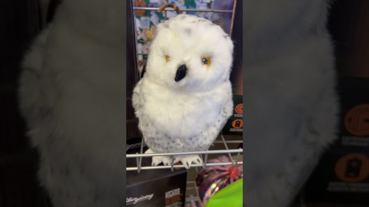 Snow Owl Toy 1/22/25