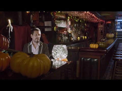 Ginko Bugs - Why be glad