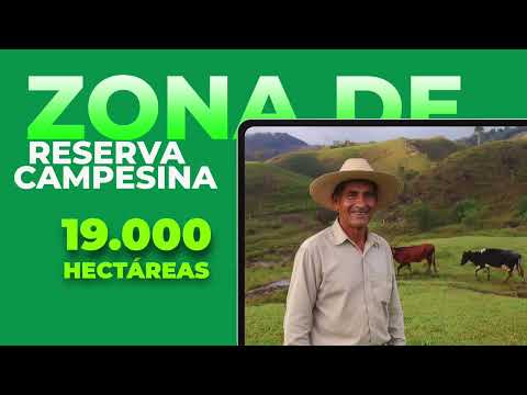 Video ANT Anorí Campamento V1