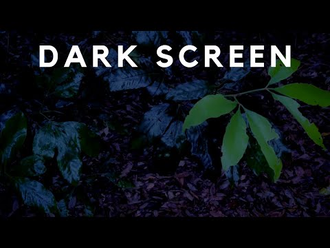 Gentle Rain on Leaves to Sleep Fast. Gentle Rain Sounds for Insomnia Relief | to Relax, Study