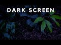 GENTLE RAIN Sounds & DARK Screen to Fall Asleep Fast | 8Hours Relaxing Rain Sounds to help me Sleep