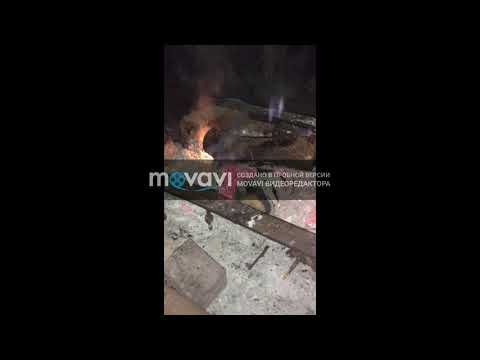 Новый проект 42