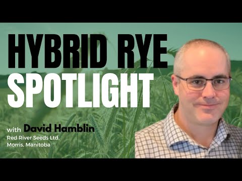 KWS Hybrid Rye, Retail Seed Business, KWS Cover+ Program, and Market Outlook | Product Spotlight
