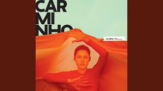 Quero um Cavalo de Várias Cores