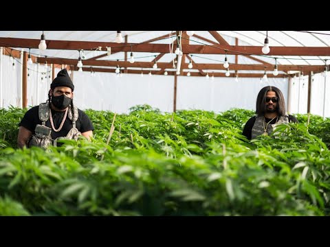 Trapiando (Video Oficial) - Many Malon, Kiubbah Malon