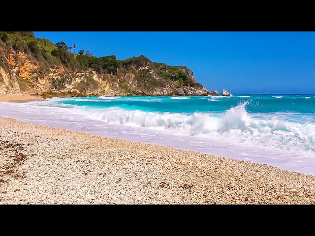 🌿 RELAXING MUSIC IN NATURE [4] 🌿