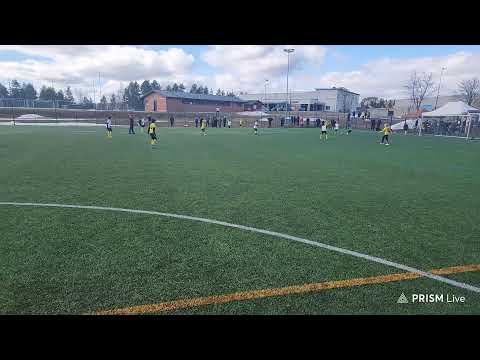 kups 2015 kelt.-kups 10 vesileppis 27.4