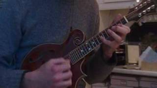 "Down in the Swamp" and  "Manzanita"