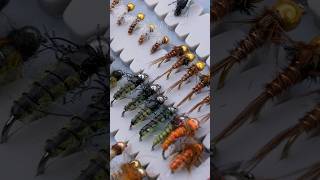 Top Flies for Fly Fishing & the Insects Behind Them