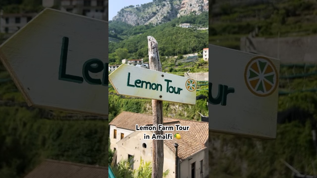 YouTube Short thumbnail