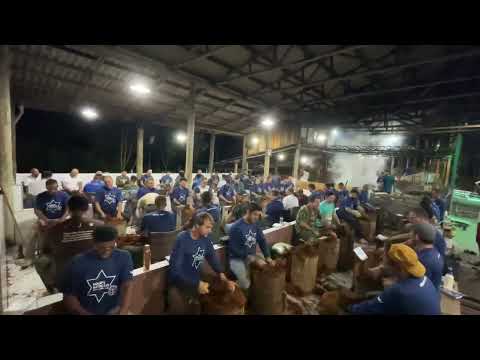 "Disciplina" Mestre Irineu, 55 | Feitio Daime | Céu da Nova Vida - Daime