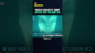 "상어에 악귀 들렸다" 백상아리 거꾸로 보니… / KNN