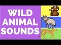 Forest Animal Sounds For Babies And Toddlers Wild Animals List Animal Series 1 BabySchool TV