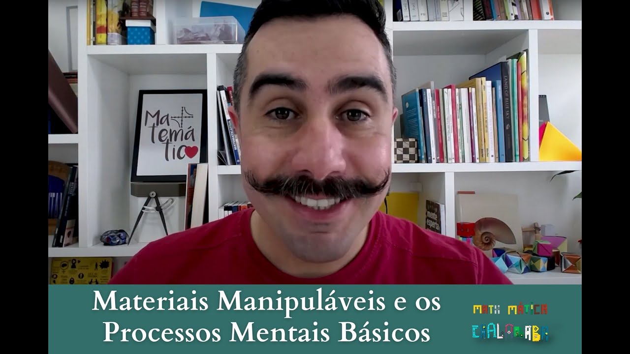 Materiais Manipuláveis e os Processos Mentais Básicos
