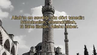 Allah'ın En Sevdiği 4 Kelime | Dilin Nuru