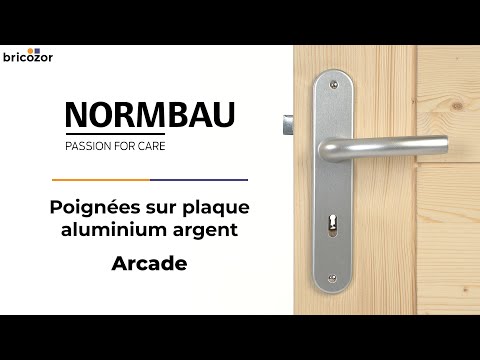Poignées de porte doubles sur plaques - aluminium - Arcade - argent NORMBAU