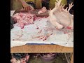 FRESHLY SLAUGHTERED CHICKEN |how to cut whole chicken #short