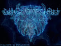 Feel For You - Nightwish
