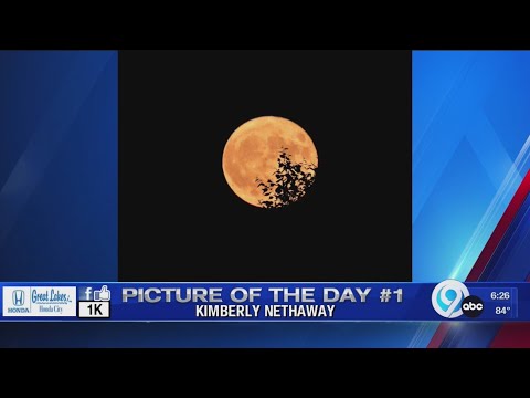 Picture of the Day: August 3, 2023