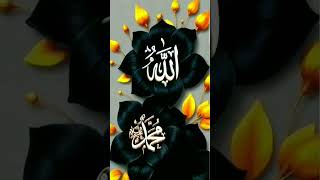Download lagu August 2, 2026 mp3 Download lagu August 2, 2026 mp3