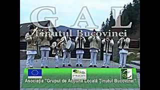 preview picture of video 'Asociatia GAL Tinutul Bucovinei promo'