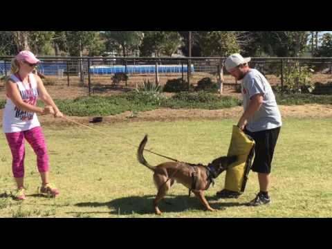 Flirt and Decoy 'David Broderick'