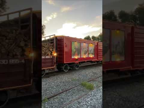 Trem do Natal em Balsa Nova #natal #trem #mariafumaça #trendonatal